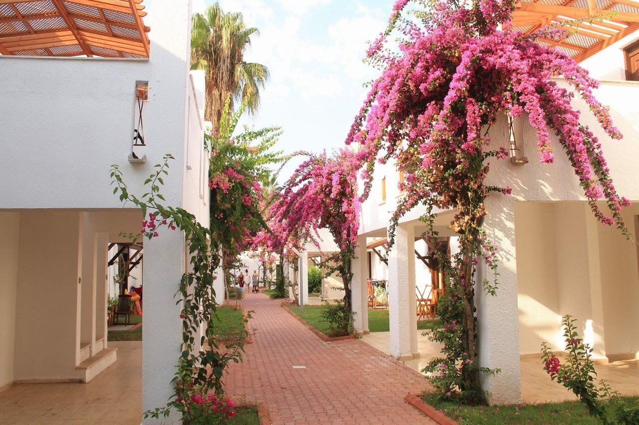 Club Kastalia Holiday Village Konaklı Eksteriør billede